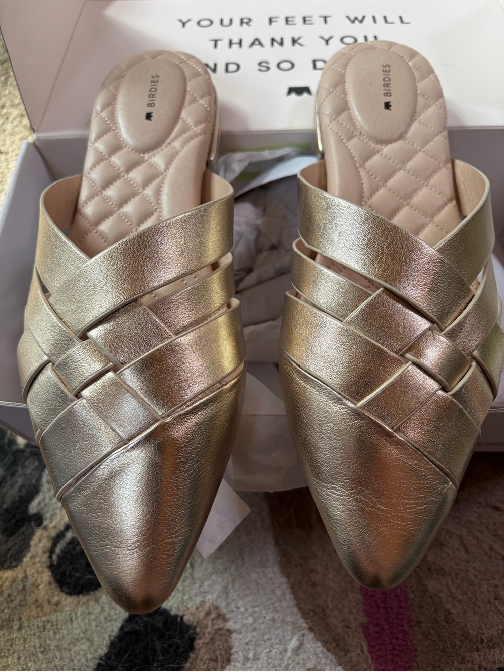 New in Box! Beautiful Gold “The Dove” shoes, by Birdies